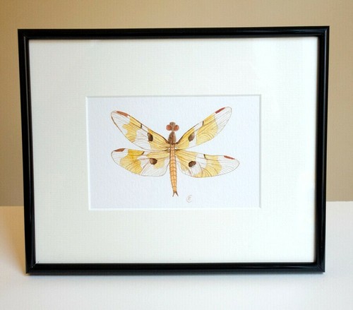 Libelle original aquarell - -,