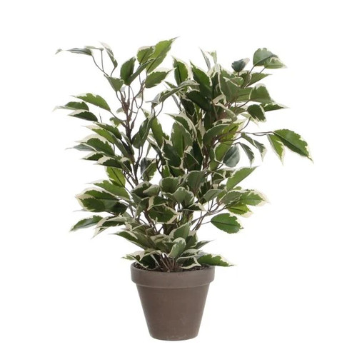 Mica kunstpflanze ficus - kunstpflanze,