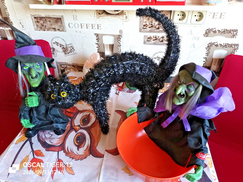 Halloween hexen dekofigur - 2x,