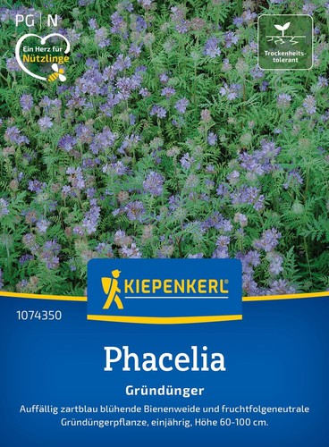 Kiepenkerl phacelia - kiepenkerl,