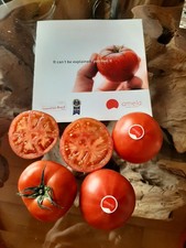 20 Orig. AMELA SAMEN TEUERSTE