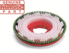 Numatic PolyScrub Bürste