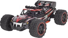 Reely Off-Road 1:14 RC Modellauto Elektro Truggy Heckantrieb SIEHE TEXT/FOTO742