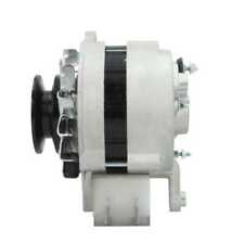 Lichtmaschine Toyota 24V 25A OEM Japan Instandgesetzt - Vgl.Nr. 0210008870 / 021