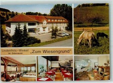 10450361 - 6145 Winkel Gasthaus Zum Wiesengrund Gastraumansichten Offener Kamin
