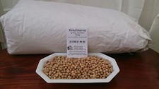 Kirschkerne lose 20kg für