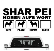 Shar Pei Faltenhund Chinese