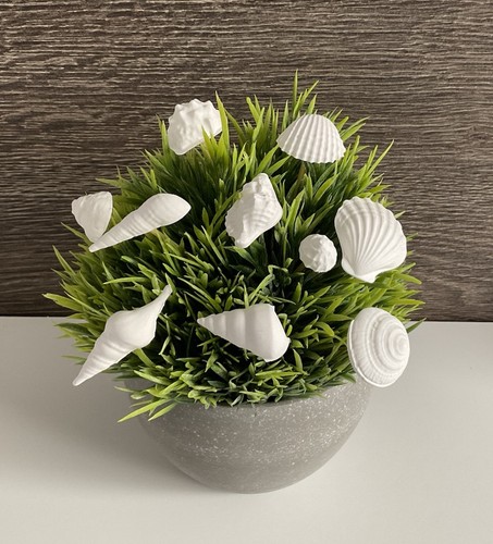Deko stecker muscheln maritim - stecker,