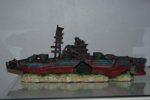 Aquarium großes