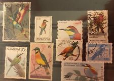 kl. Steckkarte Bienenfresser