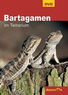 Bartagamen terrarium 1 dvd - bartagamen,