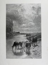 Constant Troyon nach, Auguste Boulard, Trinkende Kuh um 1870