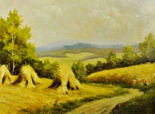 Schmidt tolles - k., (xx)