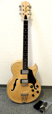Halbakustische Gitarre