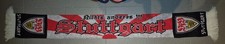 VFB Stuttgart Schal / NICHTS