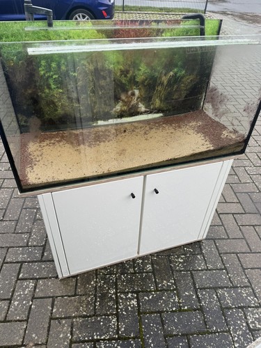 Aquarium komplett mit - komplett,