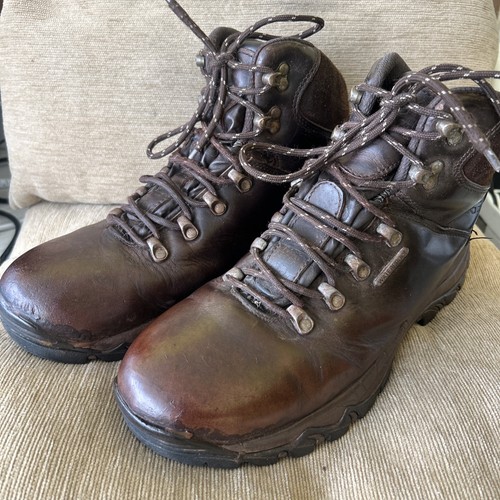 Hoggs fife braune - of,