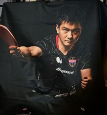 Table Tennis Fan Zhendong Mens