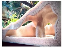 Aquarium terrarium corner - aquarium,