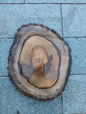 gestockte Nussbaum Baumscheibe