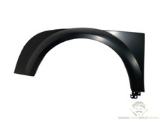 Original Kotflügel vorn links