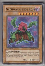 YU-GI-OH Nachwachsende Rose