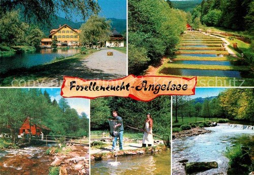 Neuenbuerg enz forellenzucht - neuenbuerg,