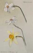 Fritz Berger Blumenstudie