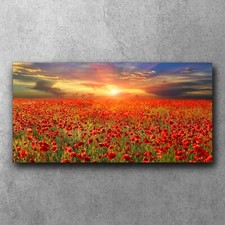 Canvas bild leinwand bilder - bild,