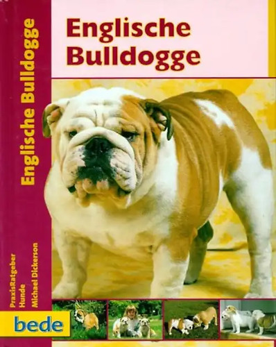 Praxisratgeber englische - praxisratgeber,
