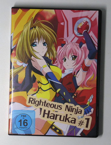 Righteous ninja haruka anime - righteous,