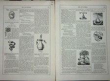 Antiker alter Druck 1867 Kunst Journal Historische Geräte Abzeichen Zeichnung Figur 19.