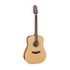 Takamine G Series GD20