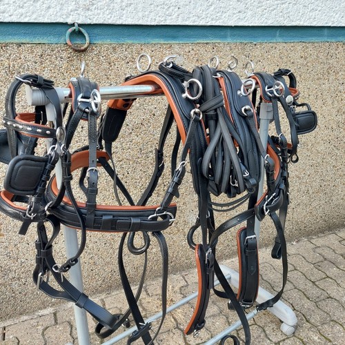 Top leder zweispänner - ,
