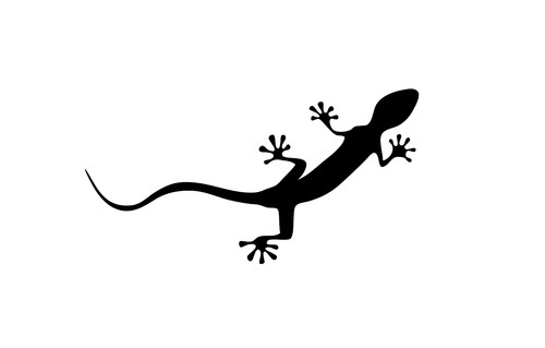 Aufkleber quattro nur gecko - aufkleber,
