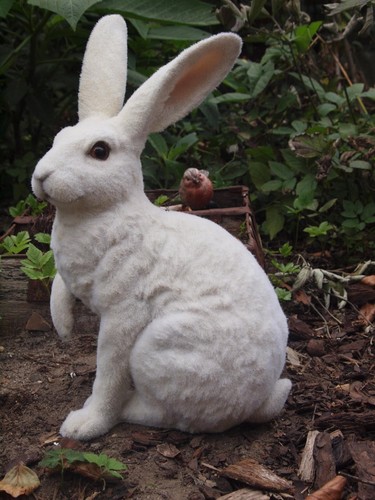 Hase schneehase 36cm - hase,