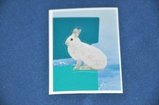 REWE ABENTEUER TIERWELT