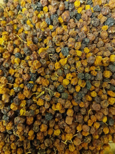 Vogelbeeren ganz sorbus - vogelbeeren,