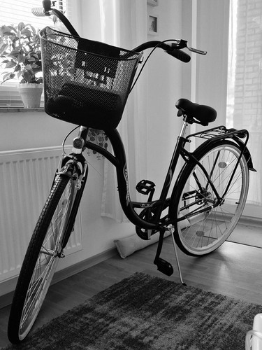 Damen city bike - city,