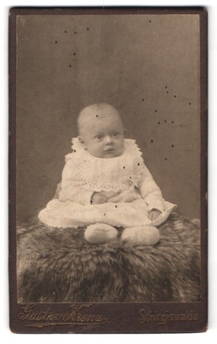 Fotografie gustav krenz - fotografie,