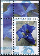 Blumen Ecke oben links / EOL 500 ct Mi. 2877 Enzian - gestempelt -