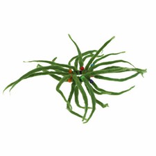 Filz Haargummi Draeds Goa