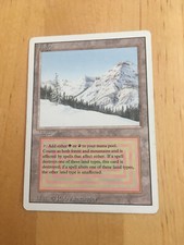 TAIGA revised Magic: the