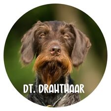 Hunde Aufkleber Sticker rund 10 cm Konturgeschnitten Hunde: Deutsch Drahthaar 01