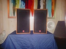 Cerein Vega  DX-1 speaker set