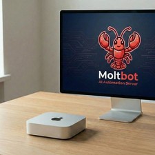 OpenClaw Moltbot AI Server Mac