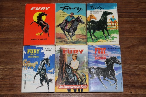 Fury schwarze hengst - 6,