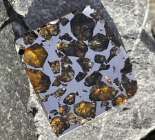 Meteorit Seymchan Scheibe poliert   / Meteorite Slice