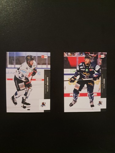 Del playercards iserlohn - playercards, 25/26