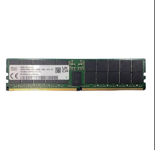 Hynix 256gb ddr5 4800mhz - 256gb,